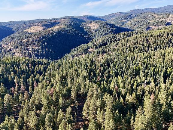 2nd image of 0 Usfs #2036