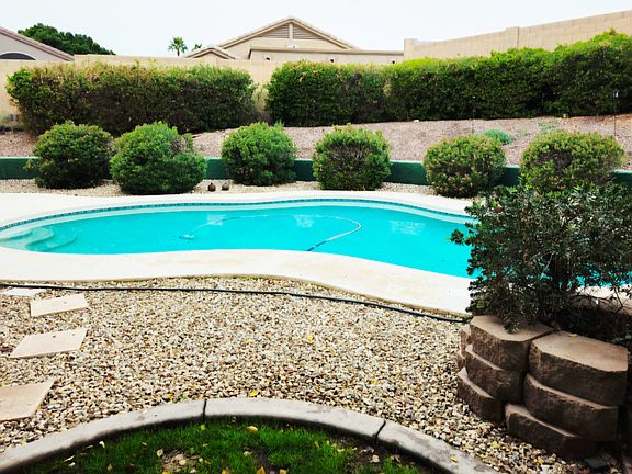 Private backyard with resort-style pool and lush greenery