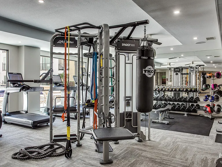 Strength training equipment in the fitness center