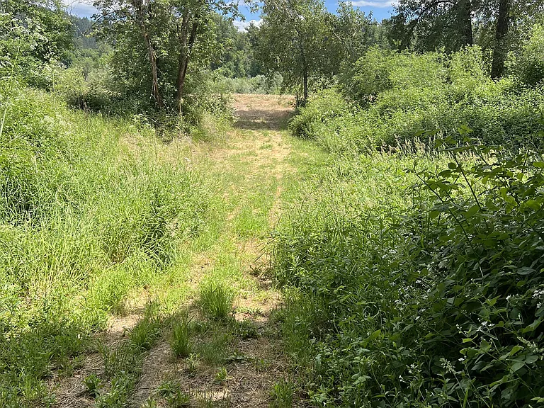 8401 Riverbanks Rd — Photo 28
