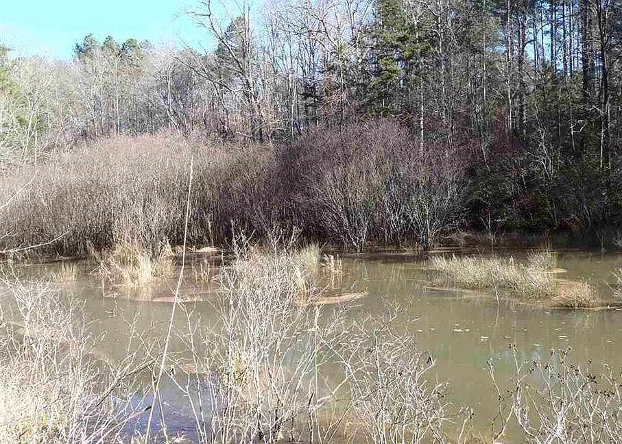 1st image of 428 Riverstone Dr