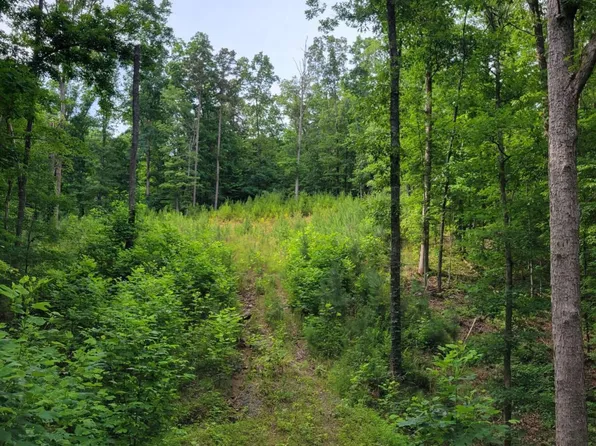 951/952 Longbranch Dr, Ranger, GA 30734
