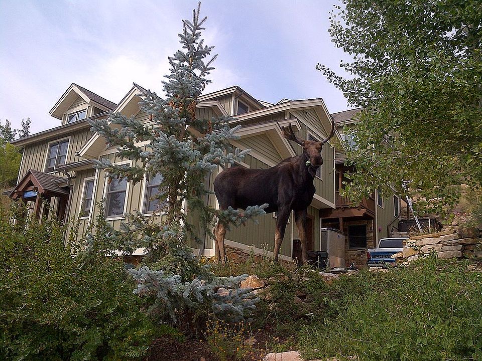 1st image of 283 Norfolk Ave