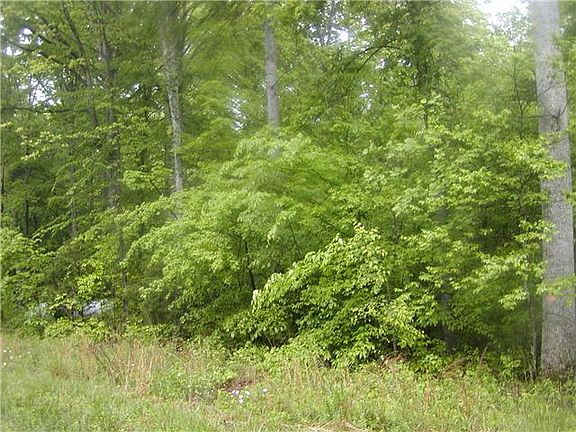 3rd image of 51 Hasty Ln Lot 51