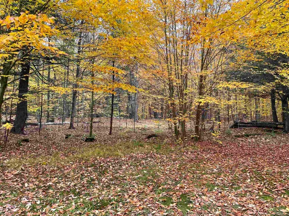 Old J Rd, Athelstane, WI 54104