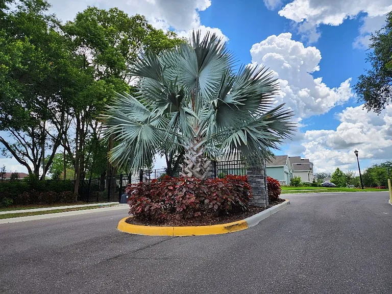 2448 Knight Island Dr — Photo 27