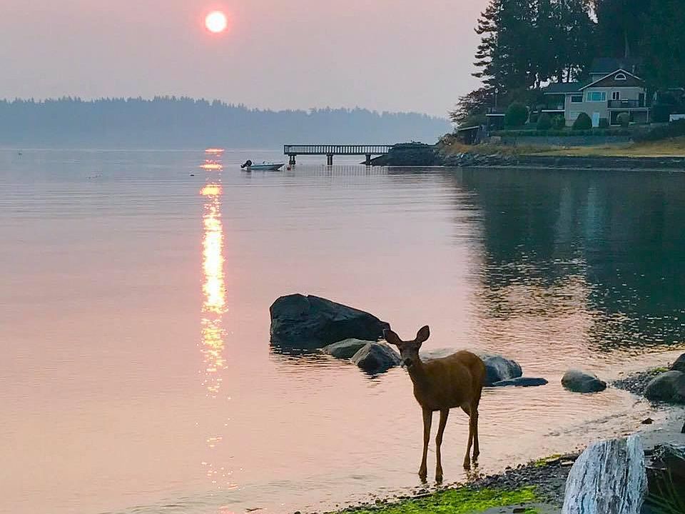An August sunrise. Privet beach access.