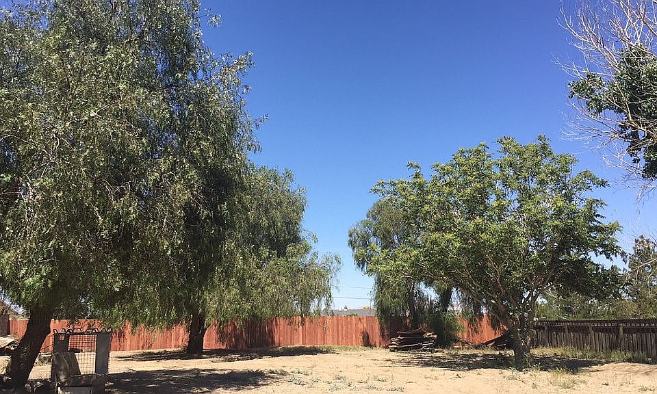 2nd image of 15566 Tokay St