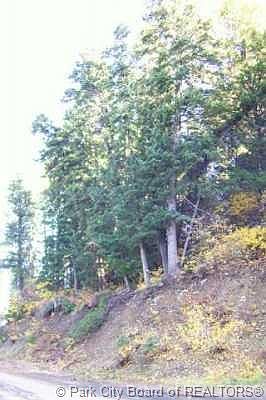 3rd image of 170 Matterhorn Dr #M-2-45