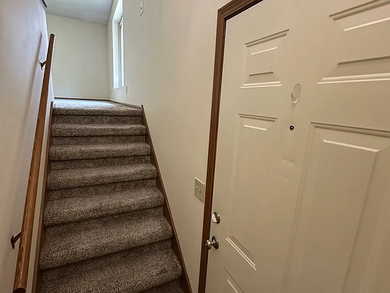3121 Wildbriar Ln #3121 — Photo 1