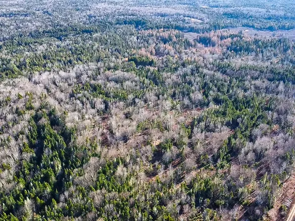 Map 04 Lots #2-15,2-16 Yellow Birch Road, Whiting, ME 04691