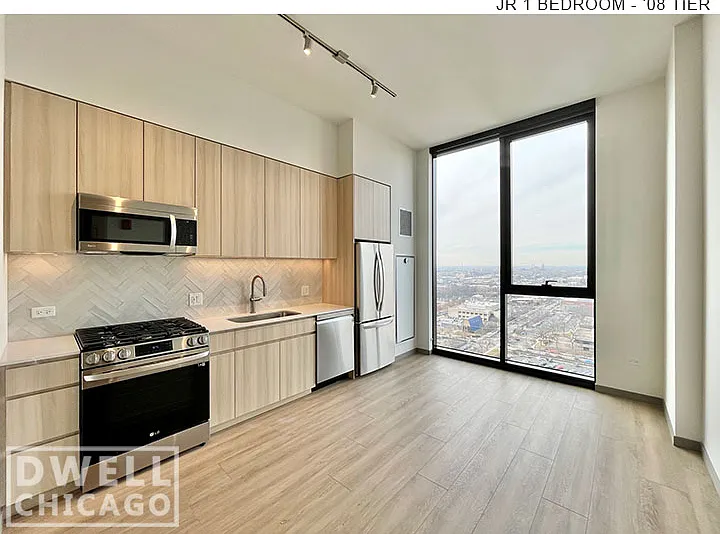 513 S Damen Ave #512 — Photo 50
