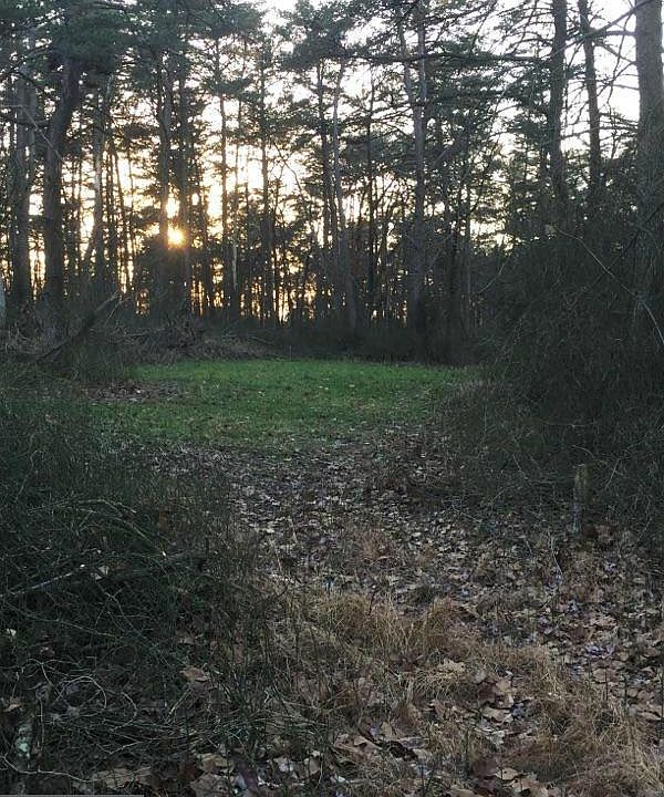 2nd image of Old Mill Rd