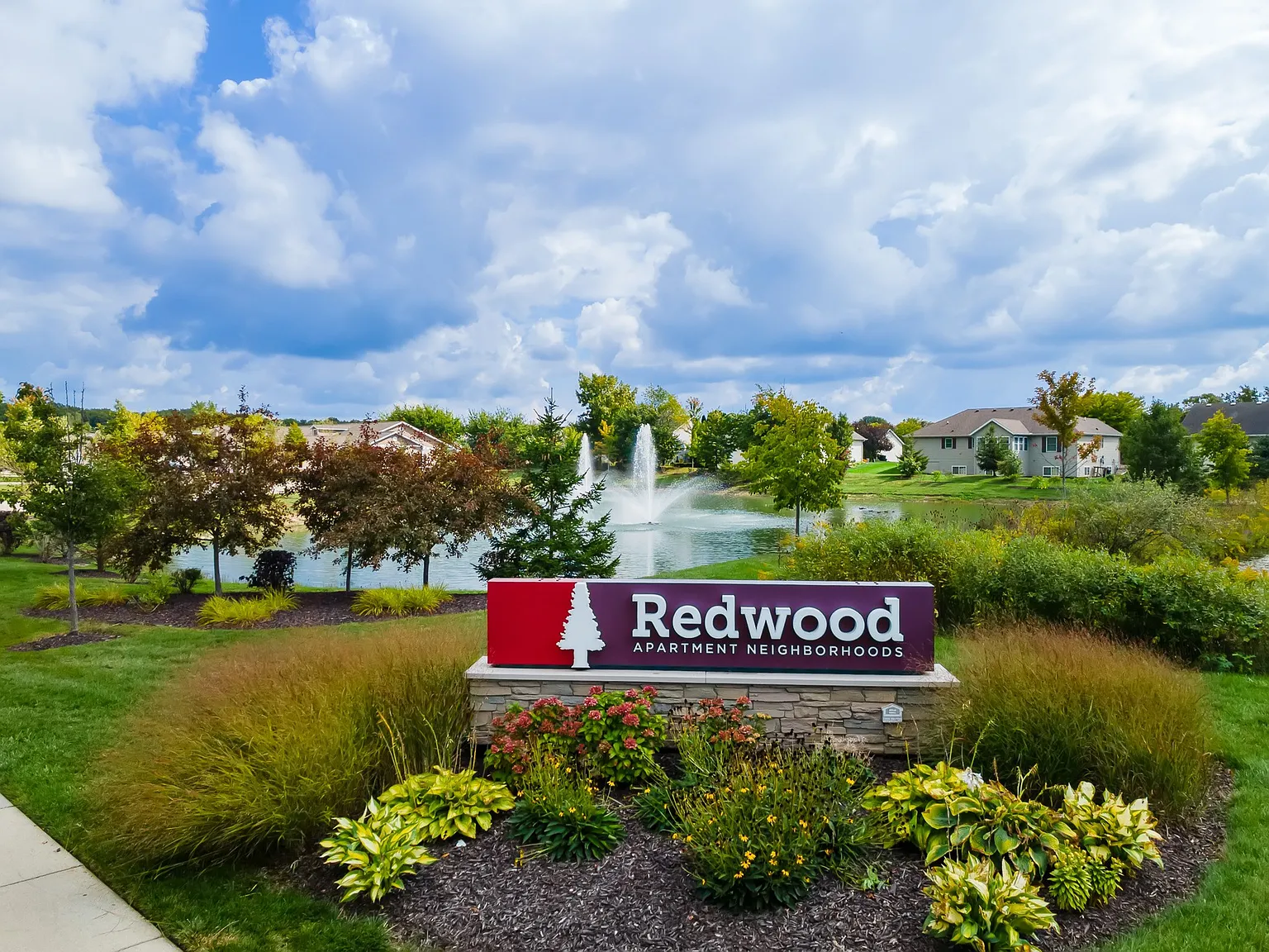 Redwood Zeeland — Photo 3