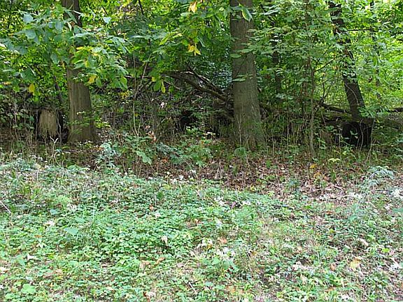 4th image of Linnwood