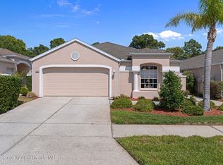 382 Royal Palm Way, Spring Hill, FL 34608