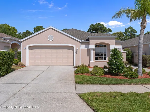 382 Royal Palm Way, Spring Hill, FL 34608