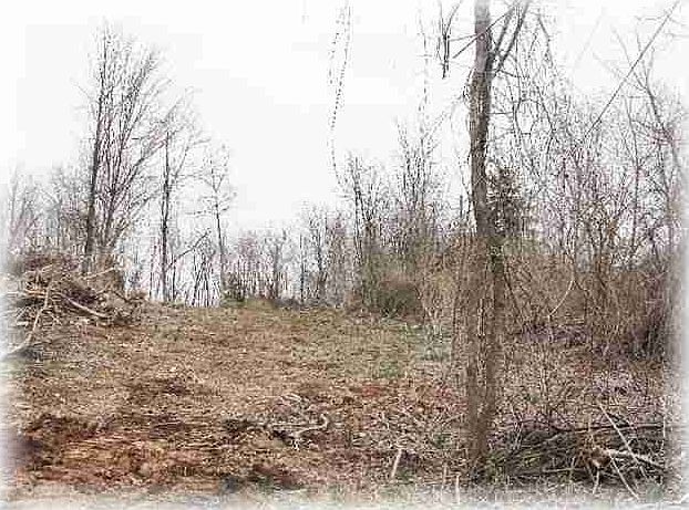 Home for Sale in Duncannon, PA $49,900