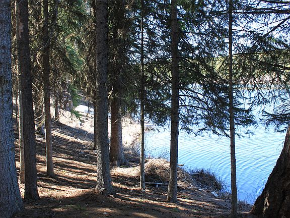 3rd image of 272 Link Lake Rd