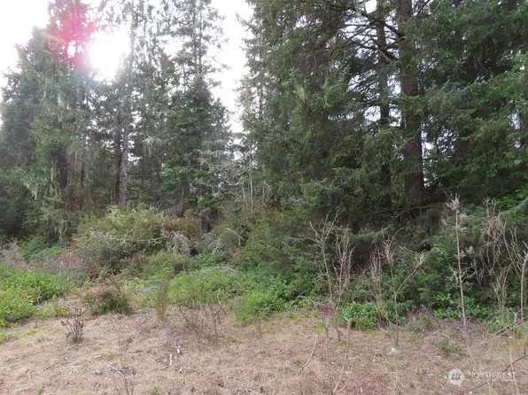 0 Lot 1 Sandridge Road, Ocean Park, WA 98640