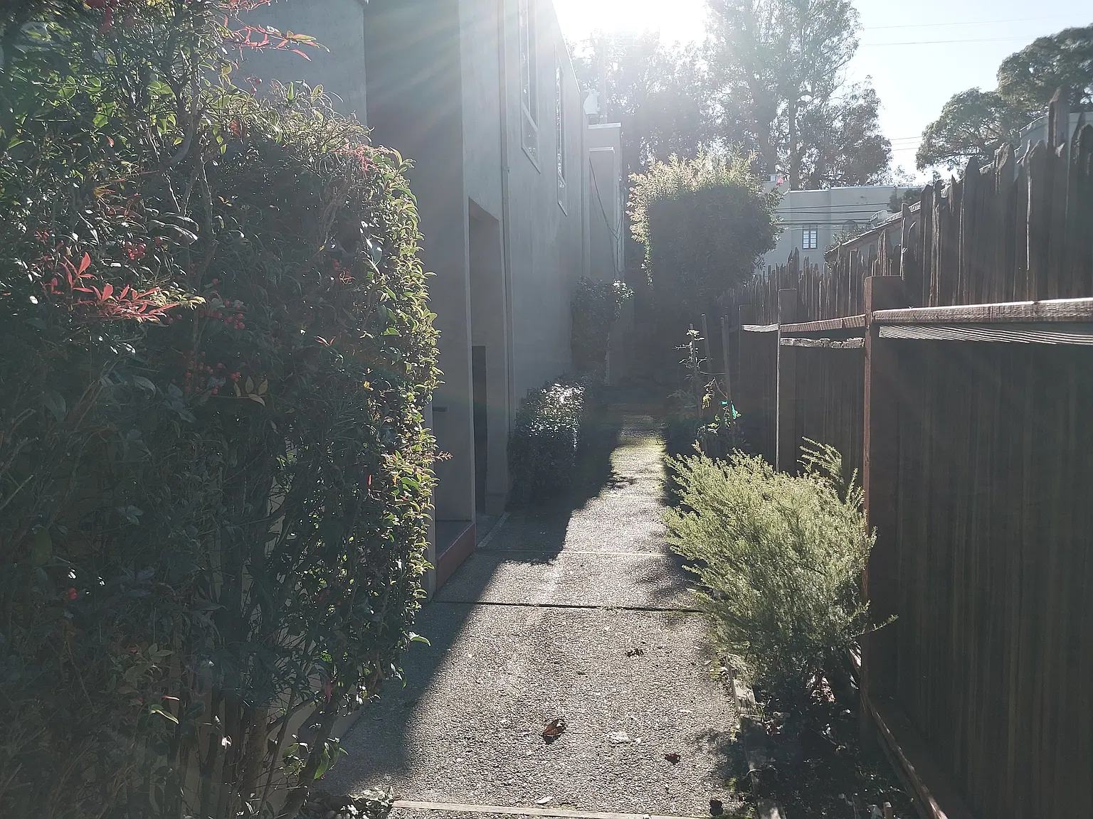 Capuchino Ave, Burlingame — Photo 3