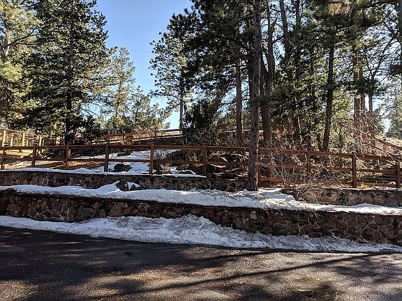 Fenced Yard and  Driveway