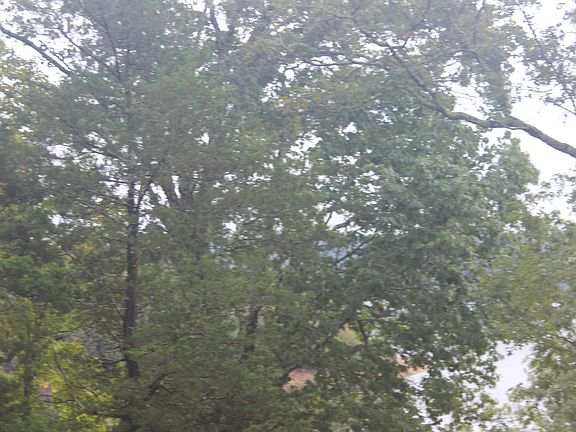 3rd image of Lakeview Dr