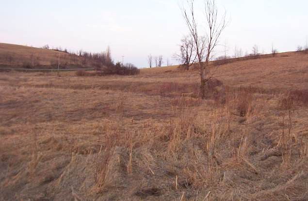2nd image of XXX STATE RT 10