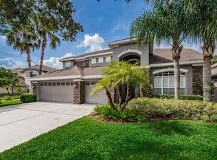 11632 Renaissance View Ct, Tampa, FL 33626