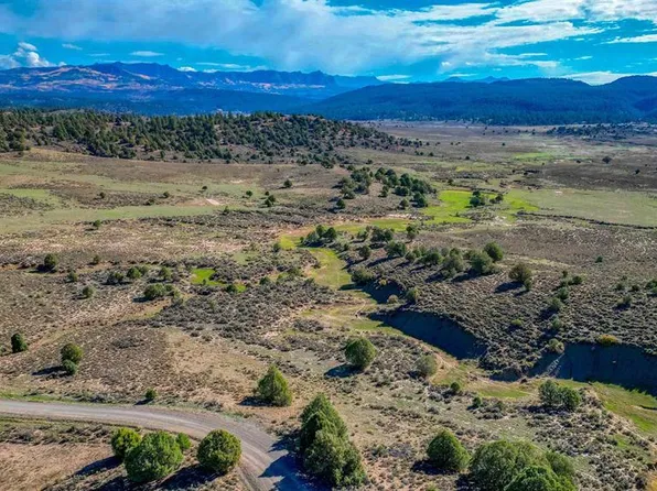 X Tall Pines Place, Pagosa Springs, CO 81147