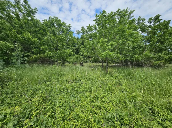 000 State Highway K, Everton, MO 65646