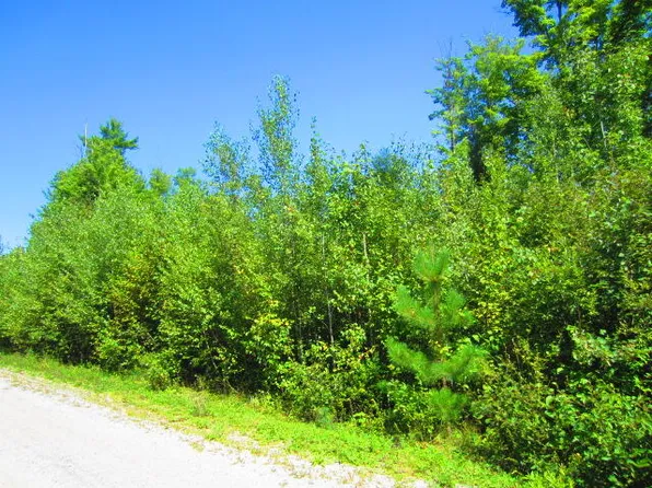 Lot 12 Deer View Road, Bethel, ME 04217