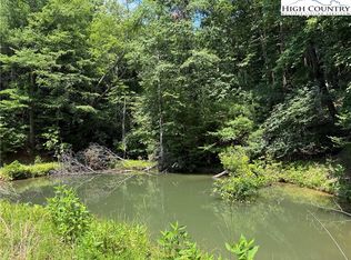 TBD Staghorn Road, Purlear, NC 28665