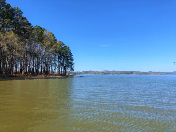 7 Little River Lndg, Cedar Bluff, AL 35959