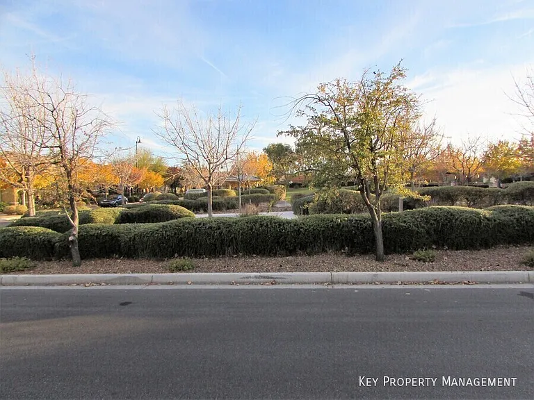 2021 Brush Stroke St — Photo 18
