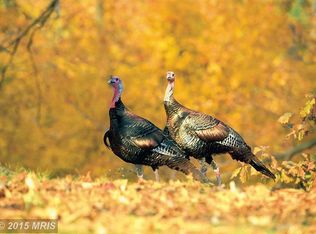 6704 Pine Top Rd, Hurlock, MD 21643