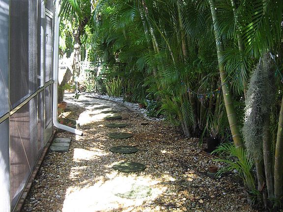Shady walkway to the front yard