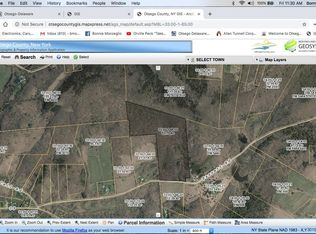 Bassett Rd, Plainfield, NY 13491