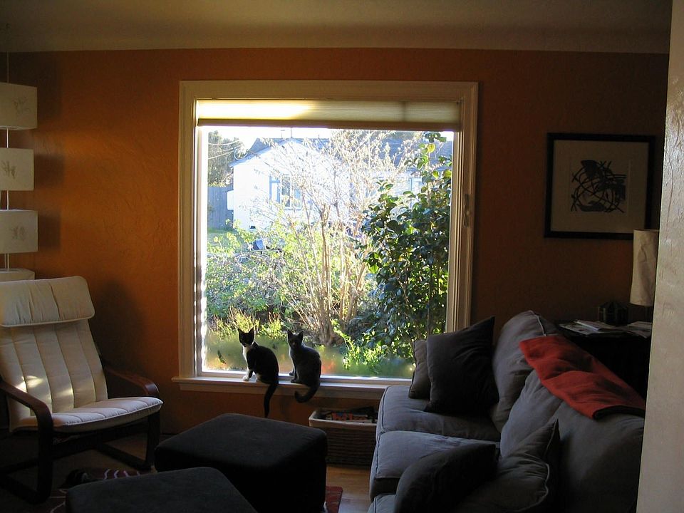 living room window