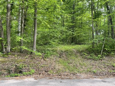 1 Doug Thompson Rd Lot 1, Franklin, TN, 37064