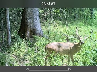 2490 Shady Grove Rd, Goodman, MS 39079