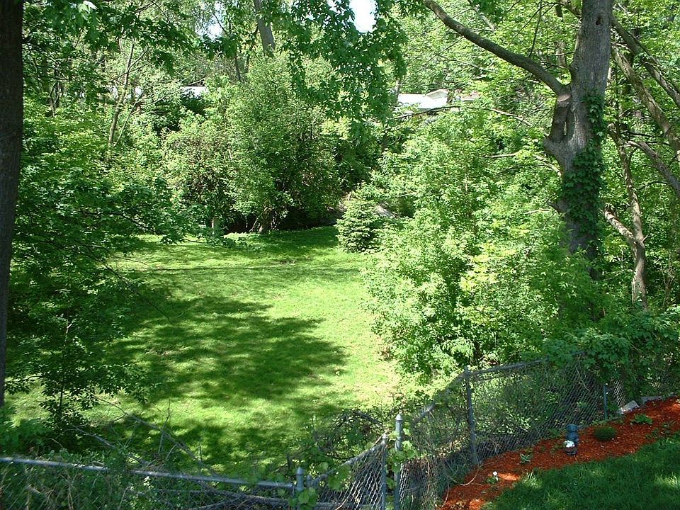View from back deck