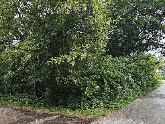 3rd image of 35 Ridgeland Ave