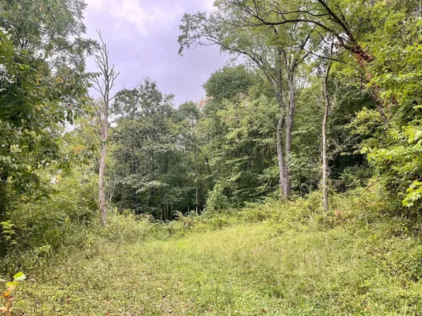 14132 Dawley Rd, Nelsonville, OH 45764