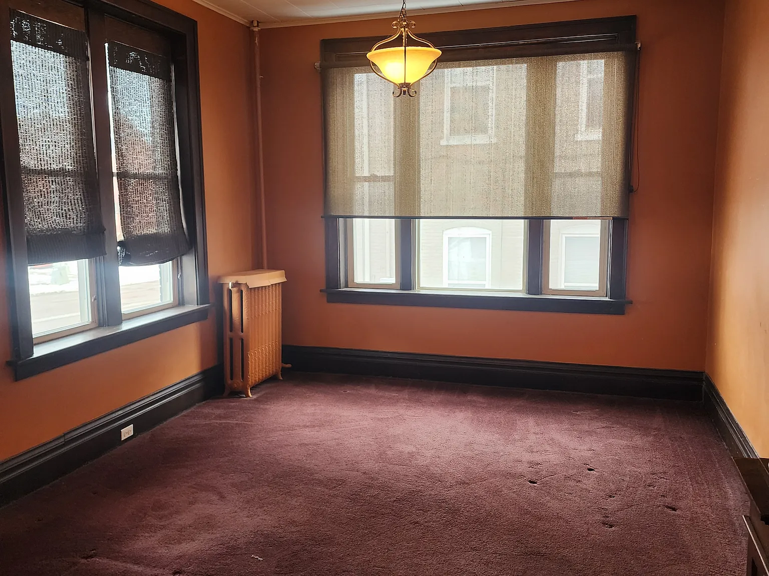 140 Loras — Photo 4