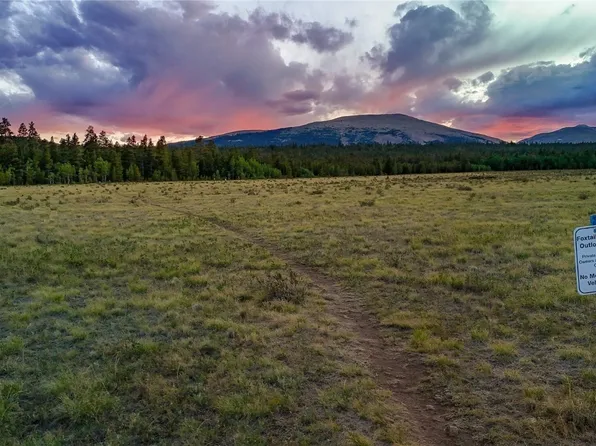1031 Bluestem Way, Fairplay, CO 80440