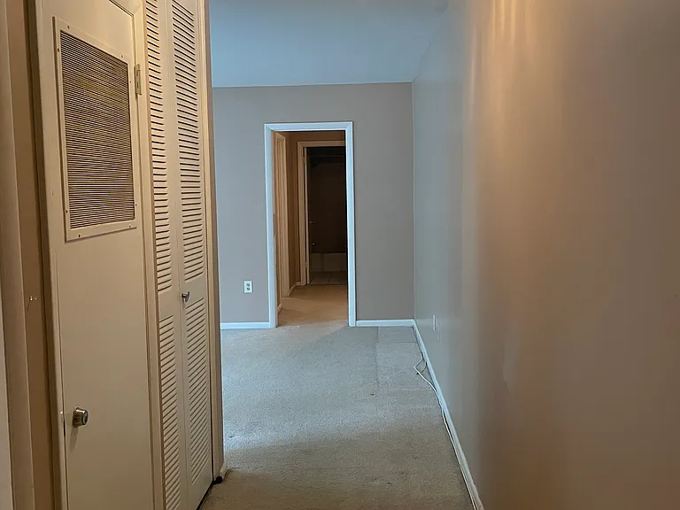 Hallway after you walk in the front door