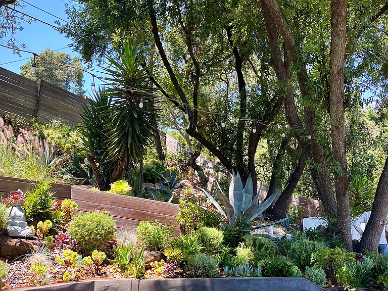 Side yard