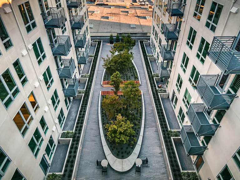 Alta Potrero — Photo 5
