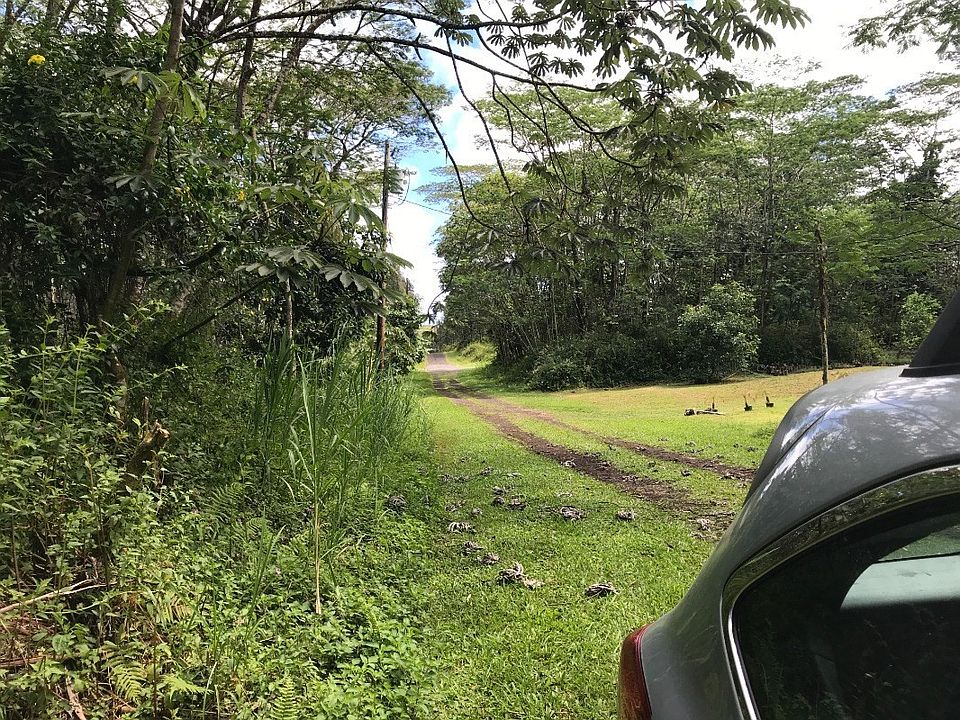 2nd image of Ginger Rd